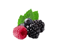 Nictel Forest fruits 10ml e-liquid