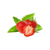 Nictel Red menthol 10ml e-liquid